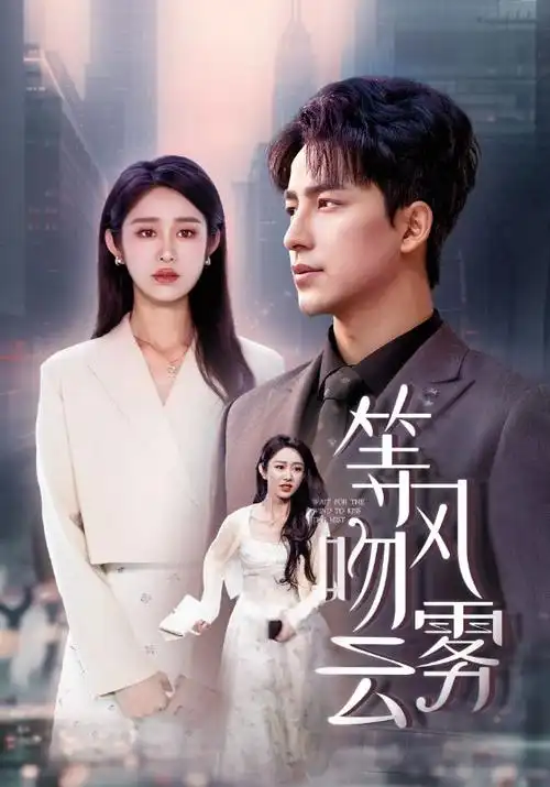 半城烟雨年代情感剧全集
